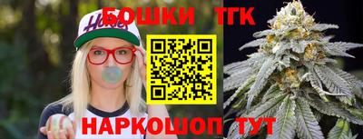 индика Шебекино