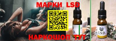 индика Шебекино